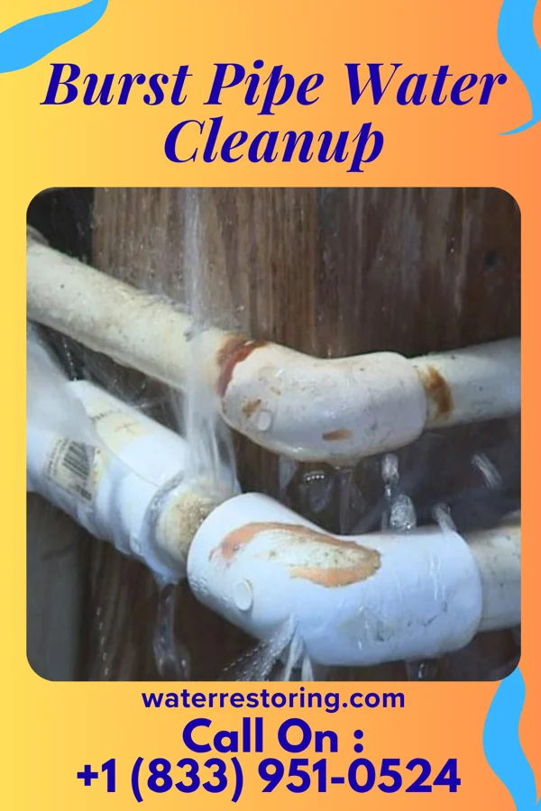 Burst Pipe Water Cleanup in Schenectady, NY