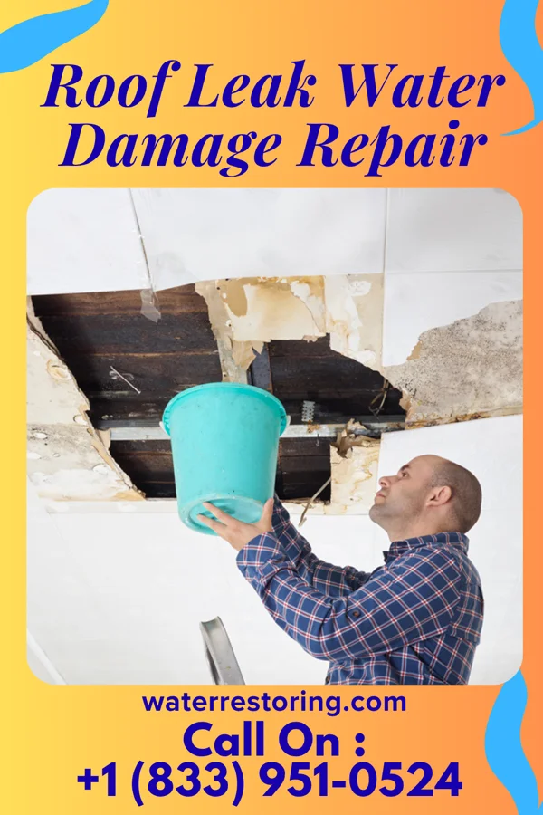 Roof Leak Water Damage Repair in Schenectady, NY