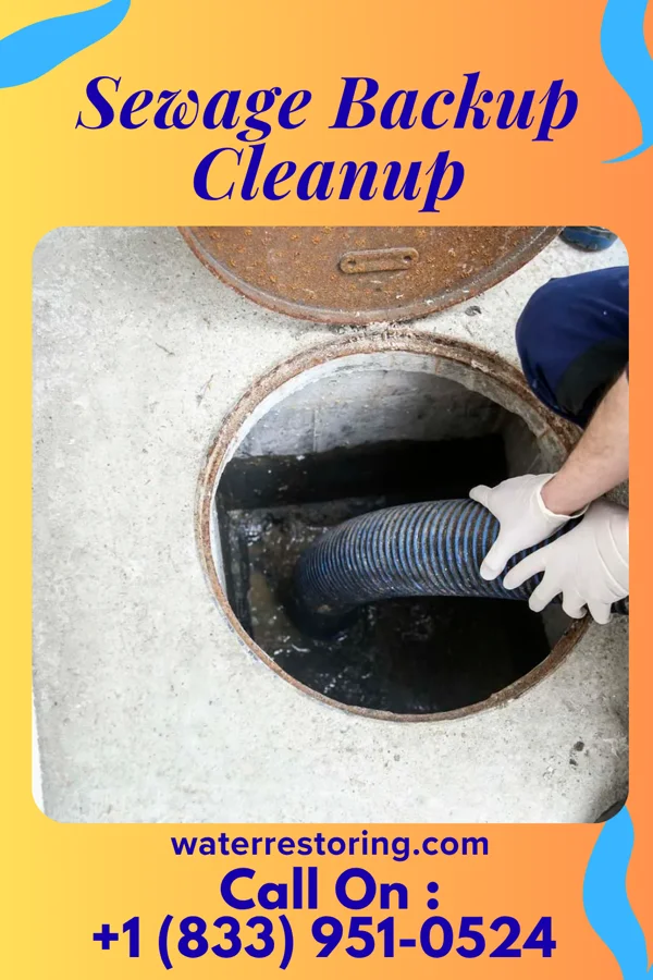 Sewage Backup Cleanup in Schenectady, NY