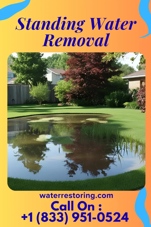 Standing Water Removal in Schenectady, NY